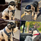 Casco per cane con occhiali per protezione degli occhi