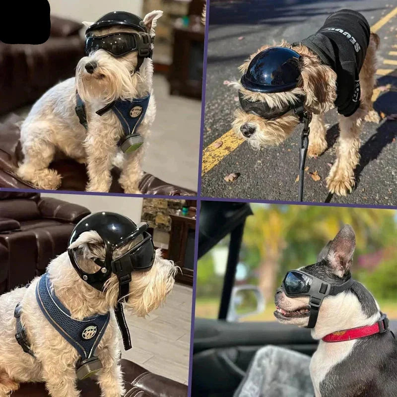 Casco per cane con occhiali per protezione degli occhi