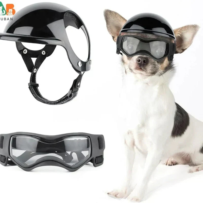 Casco per cane con occhiali per protezione degli occhi