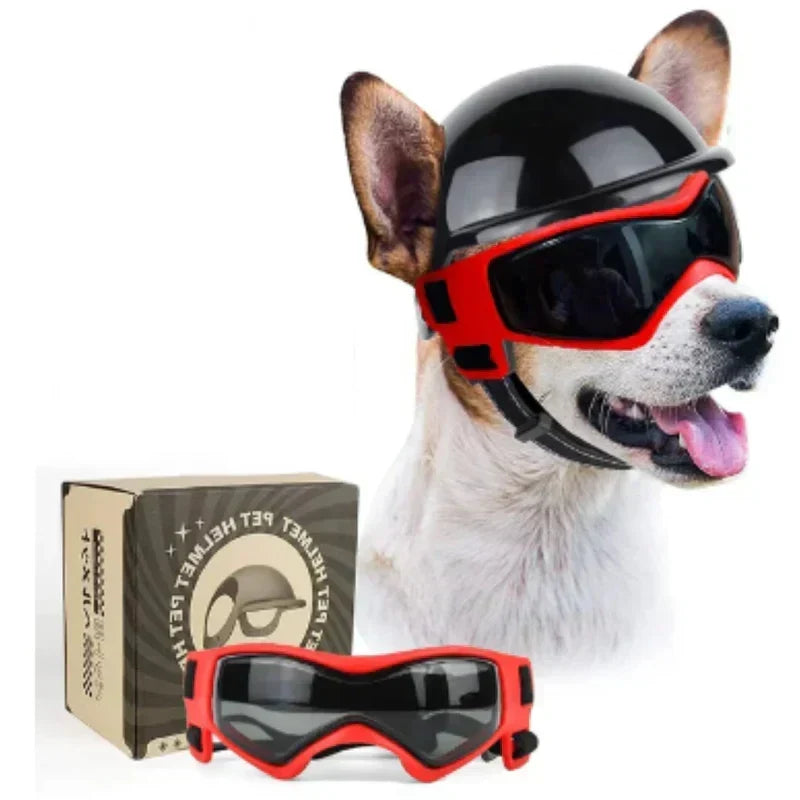 Casco per cane con occhiali per protezione degli occhi