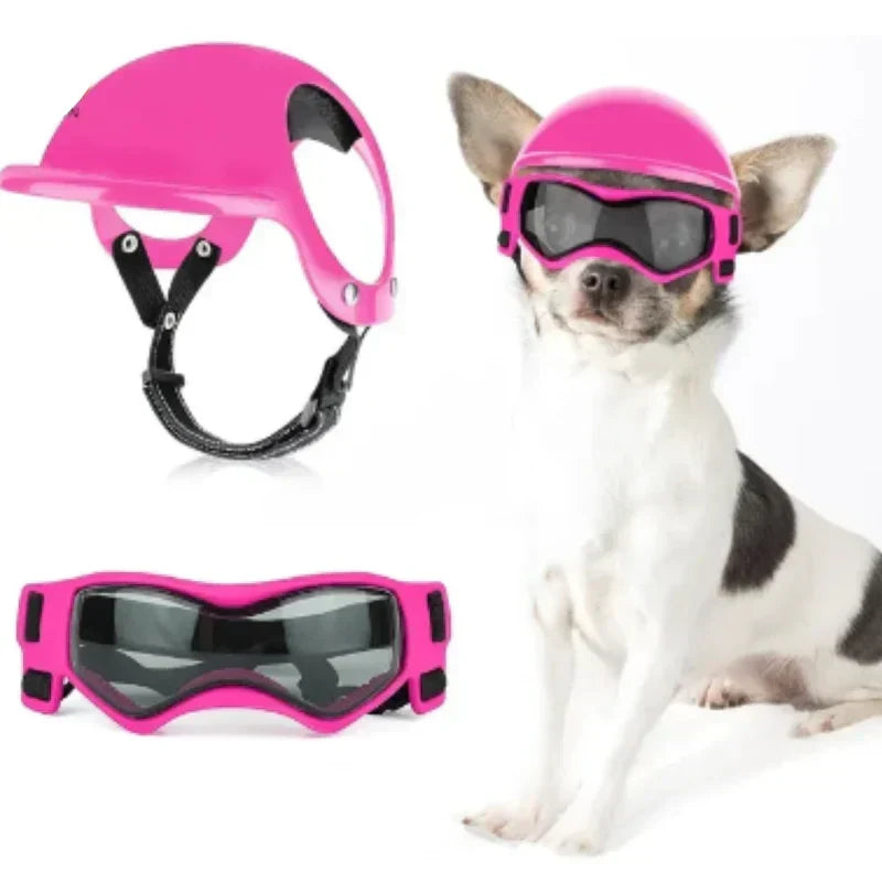 Casco per cane con occhiali per protezione degli occhi