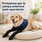 PawGuard maniche di recupero doppie per zampe anteriori dei cani - Protezione anti-leccamento senza collare elisabettian