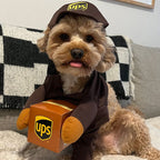Vestito per la consegna di costumi per cani di Halloween