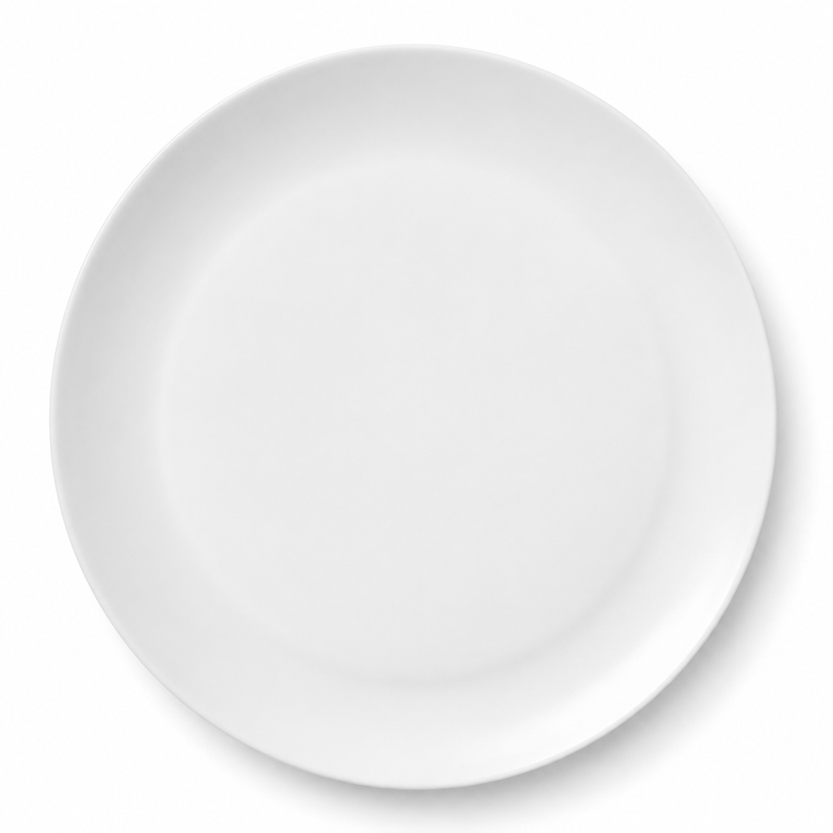 Piatto in porcellana elegante per cene formali