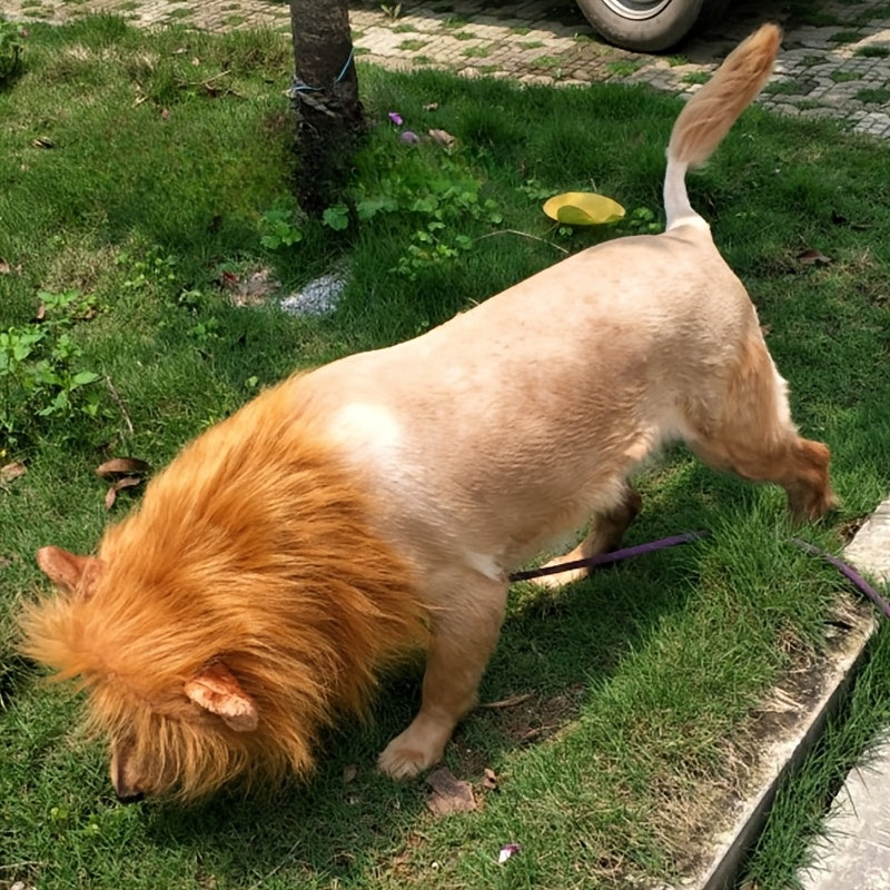 Costume di Halloween realistico con criniera di leone per cane | Leggero e regolabile