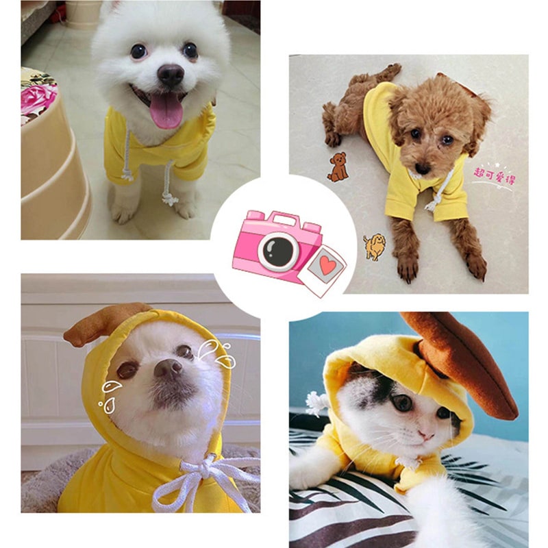 Costumi e abiti di Halloween per cani con magliette personalizzate Felpa con cappuccio in pile con cappuccio originale per piccoli