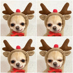 Costumi e abiti di Halloween per cani con magliette personalizzate Felpa con cappuccio in pile con cappuccio originale per piccoli