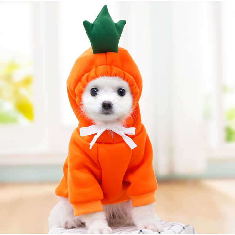 Costumi e abiti di Halloween per cani con magliette personalizzate Felpa con cappuccio in pile con cappuccio originale per piccoli