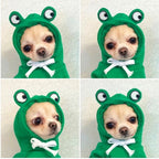 Costumi e abiti di Halloween per cani con magliette personalizzate Felpa con cappuccio in pile con cappuccio originale per piccoli