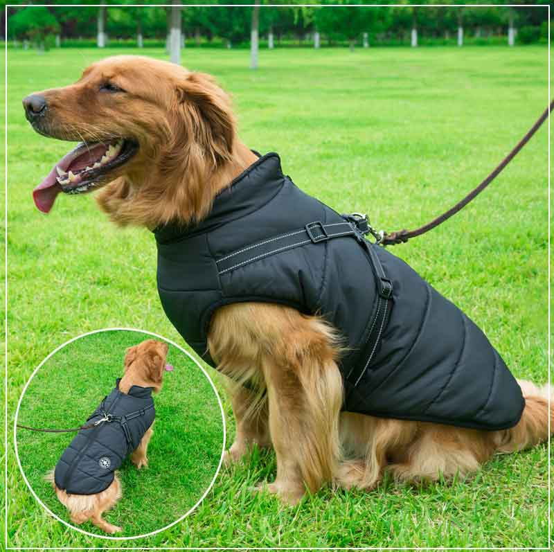 PupGuard - Cappotto invernale per cani con pettorina
