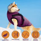 Cappotto impermeabile per cani AquaPup per giornate piovose e tempo freddo
