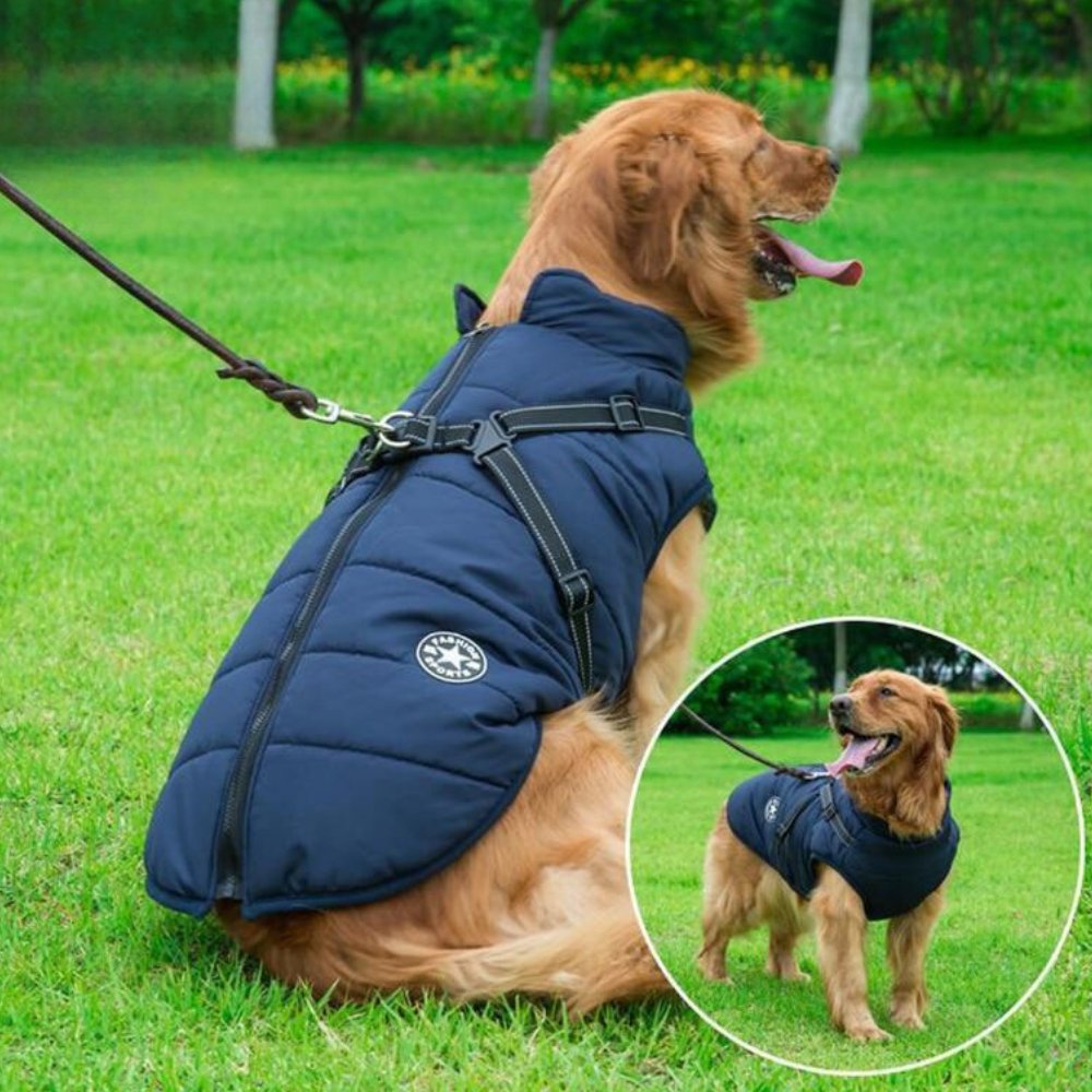 Cappotto per cani impermeabile DryPaw con pettorina integrata per l'inverno
