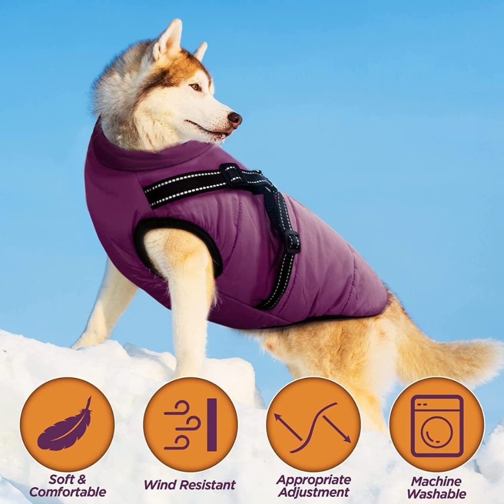 Cappotto per cani impermeabile DryPaw con pettorina integrata per l'inverno