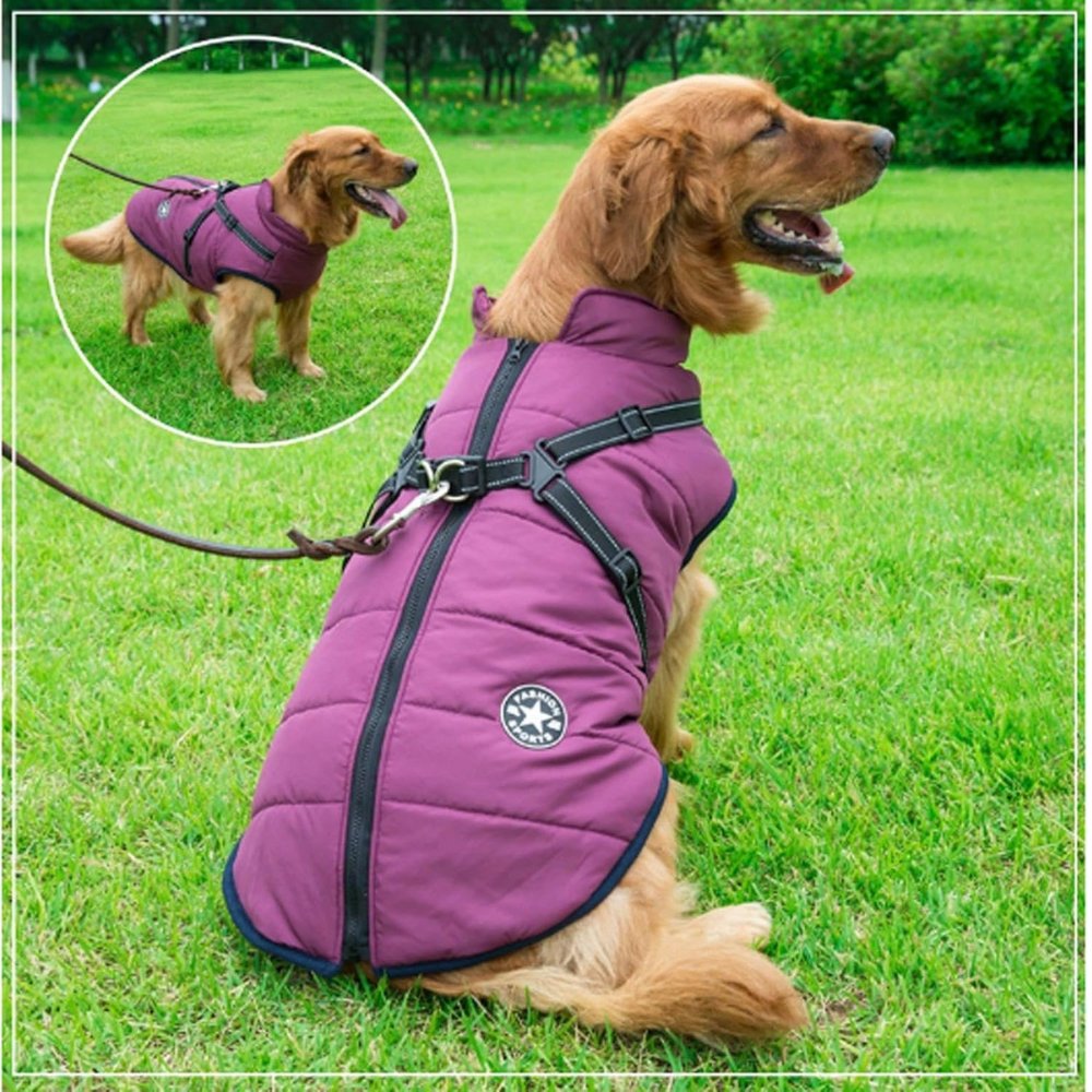 Cappotto per cani impermeabile DryPaw con pettorina integrata per l'inverno