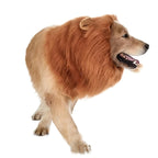 Costume di Halloween realistico con criniera di leone per cane | Leggero e regolabile