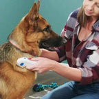 Eliminatore elettrico di pulci per animali domestici – FleaZap
