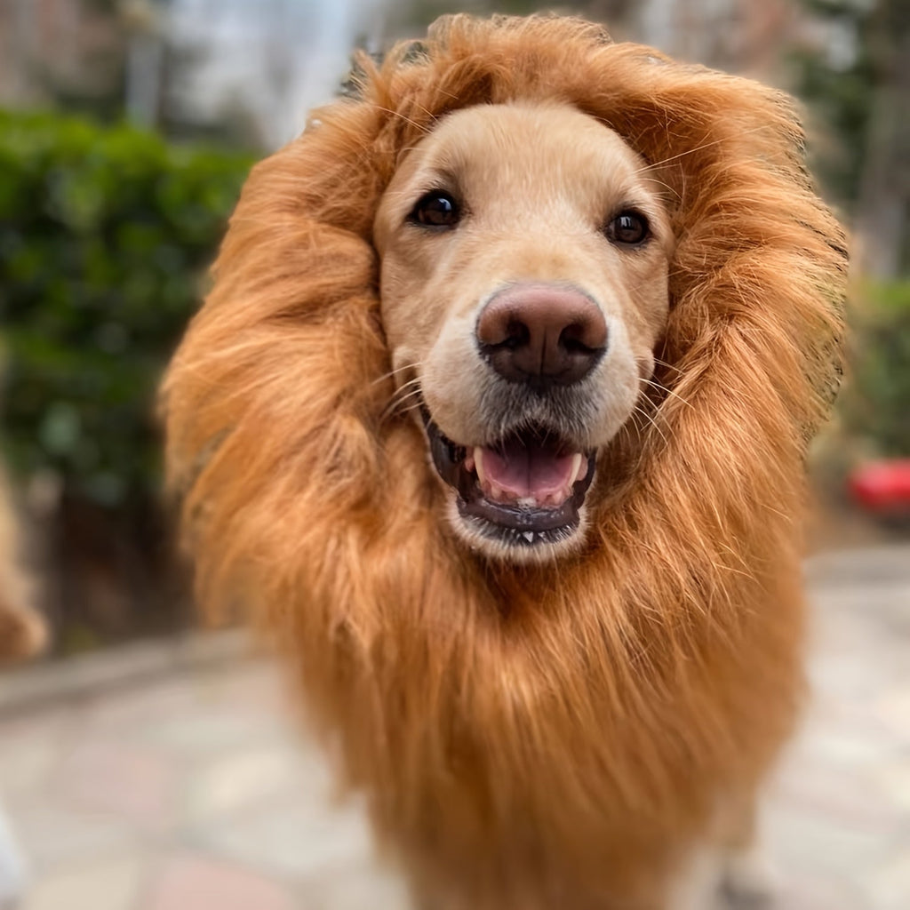 Costume di Halloween realistico con criniera di leone per cane | Leggero e regolabile