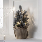 Decorazioni natalizie Mini luci per albero smerigliato
