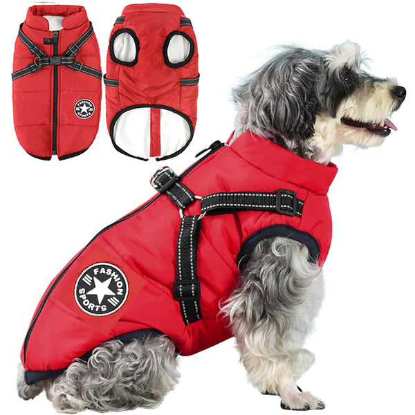 Cappotto Invernale 3-in-1 per Cani con Pettorina | Imbottito, Impermeabile e Antivento