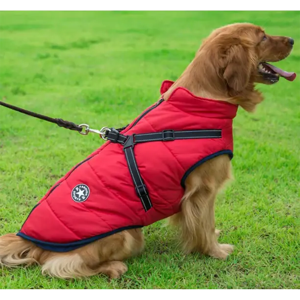 Cappotto Invernale 3-in-1 per Cani con Pettorina | Imbottito, Impermeabile e Antivento