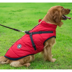 Cappotto Invernale 3-in-1 per Cani con Pettorina | Imbottito, Impermeabile e Antivento