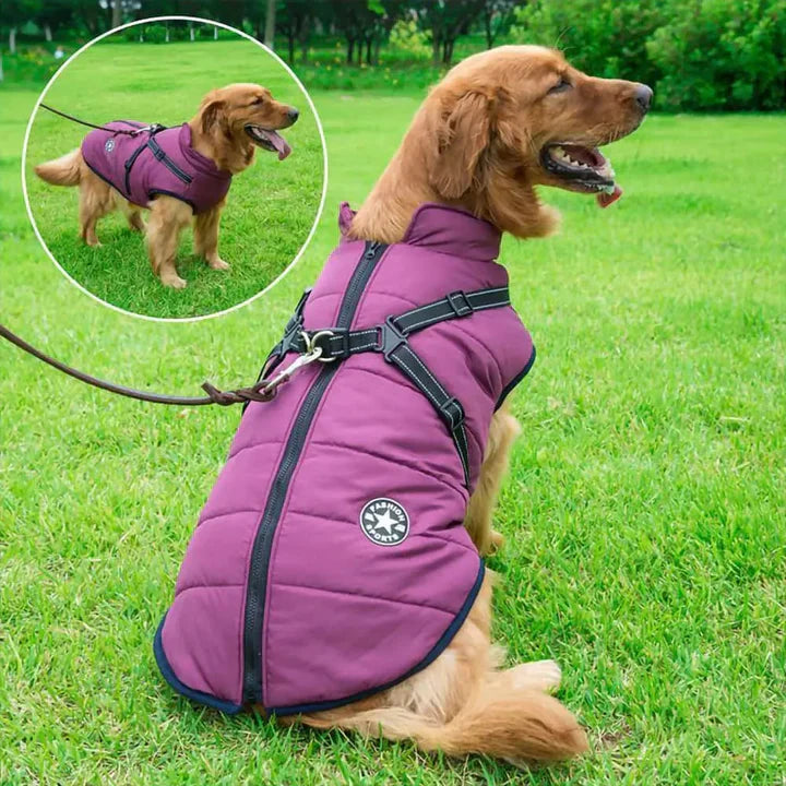 Cappotto Invernale 3-in-1 per Cani con Pettorina | Imbottito, Impermeabile e Antivento