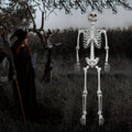 Halloween Deko Lebensgroßes Skelett Figur Kunststoff