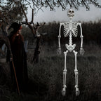 Halloween Deko Lebensgroßes Skelett Figur Kunststoff