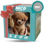 Giocattolo Peluche Cane Interattivo Cucciolo Realistico Morbido e Mobile