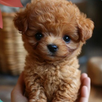 Giocattolo Peluche Cane Interattivo Cucciolo Realistico Morbido e Mobile