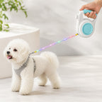 Guinzaglio Retrattile Luminosa Ricaricabile per Cani per Passeggiate Notturne - Aiuta i Cani di Piccola Taglia a Restare