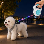 Guinzaglio Retrattile Luminosa Ricaricabile per Cani per Passeggiate Notturne - Aiuta i Cani di Piccola Taglia a Restare