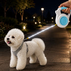 Guinzaglio Retrattile Luminosa Ricaricabile per Cani per Passeggiate Notturne - Aiuta i Cani di Piccola Taglia a Restare