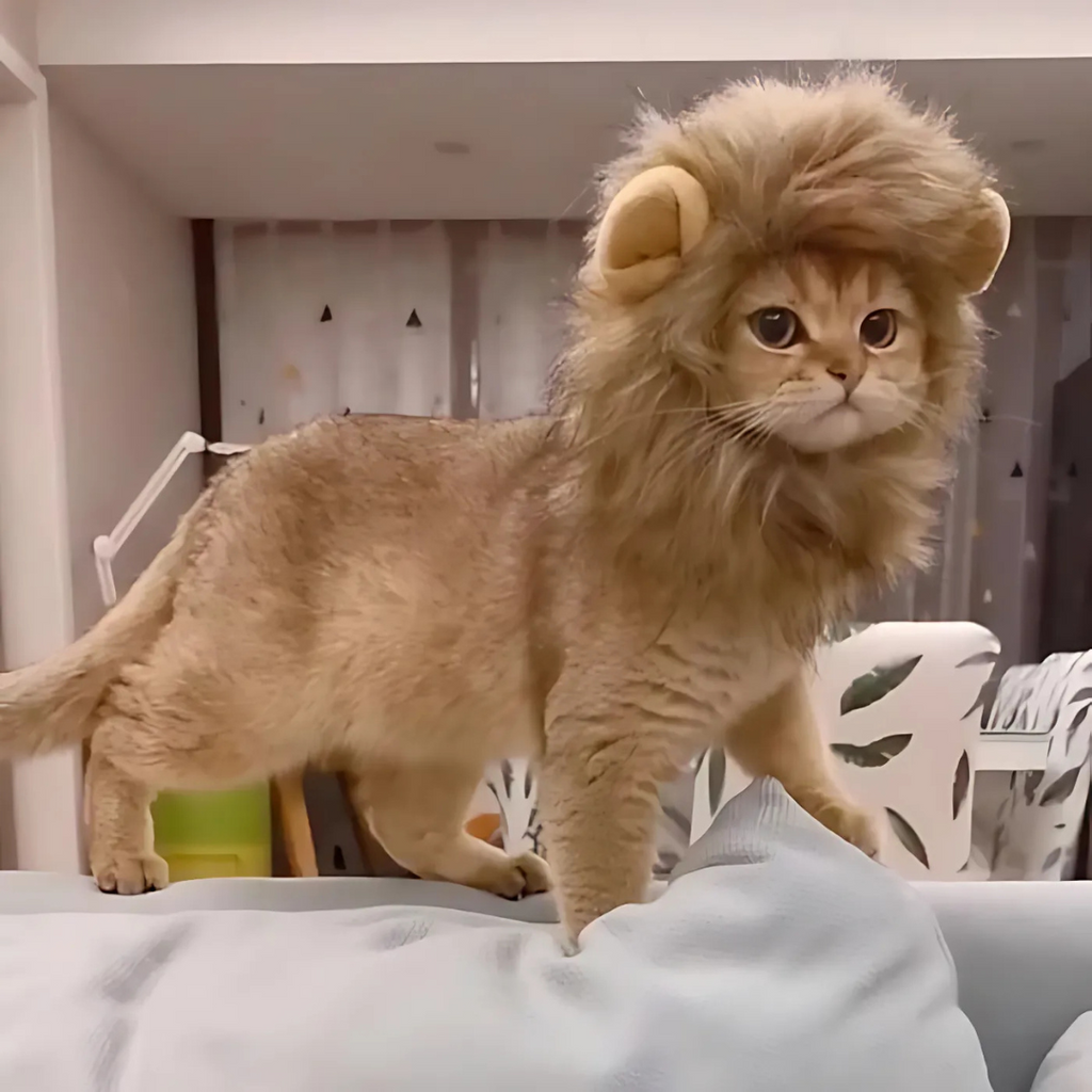 Costume da gatto con la criniera di leone di Halloween