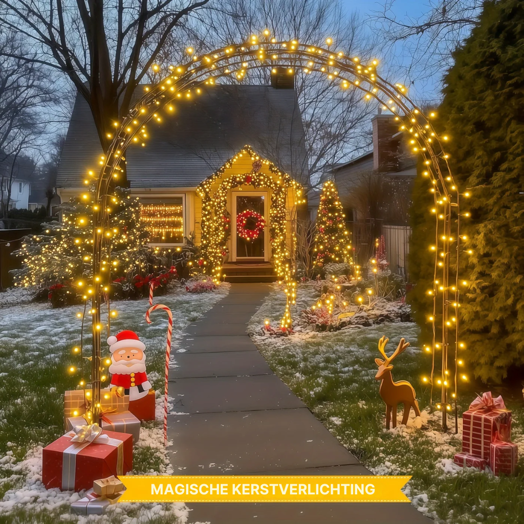 Magiche luci di Natale | Professionale e impermeabile