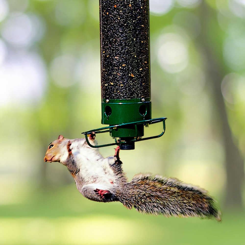 Mangiatoia per uccelli in metallo anti-scoiattolo sospesa da esterno per giardino, a tubo