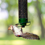 Mangiatoia per uccelli in metallo anti-scoiattolo sospesa da esterno per giardino, a tubo