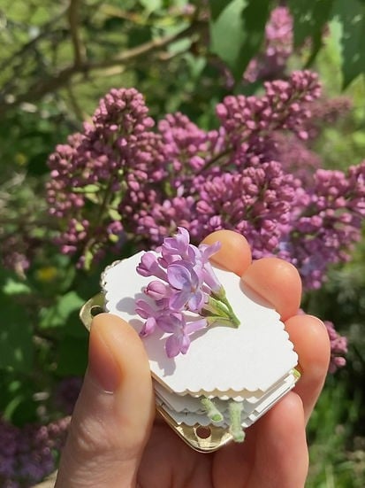 Mini Flower Press | Compattatore di fiori | Creatore di ricordi botanici | Strumento creativo portatile