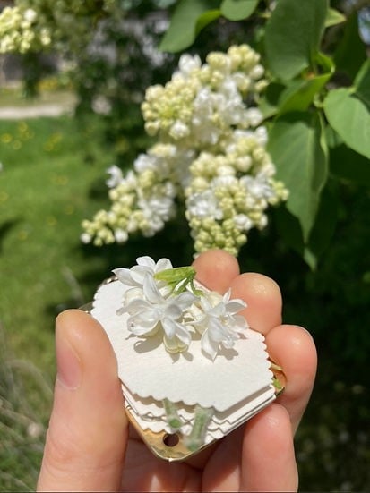 Mini Flower Press | Compattatore di fiori | Creatore di ricordi botanici | Strumento creativo portatile