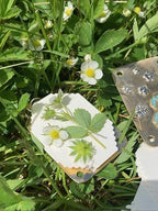 Mini Flower Press | Compattatore di fiori | Creatore di ricordi botanici | Strumento creativo portatile