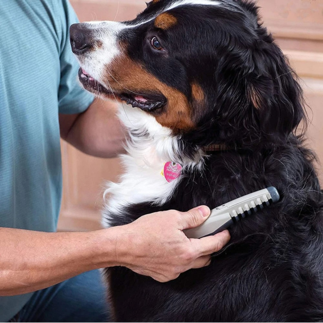 Niente più nodi e grovigli per il tuo animale domestico