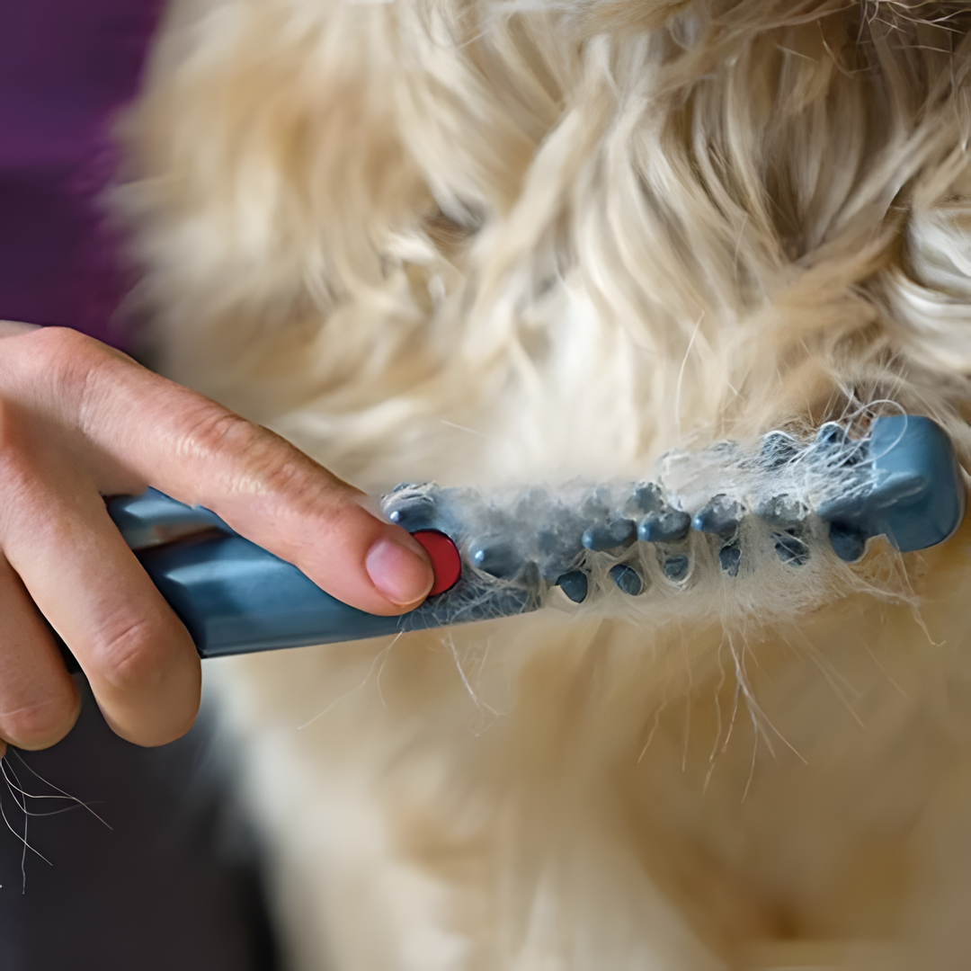 Niente più nodi e grovigli per il tuo animale domestico