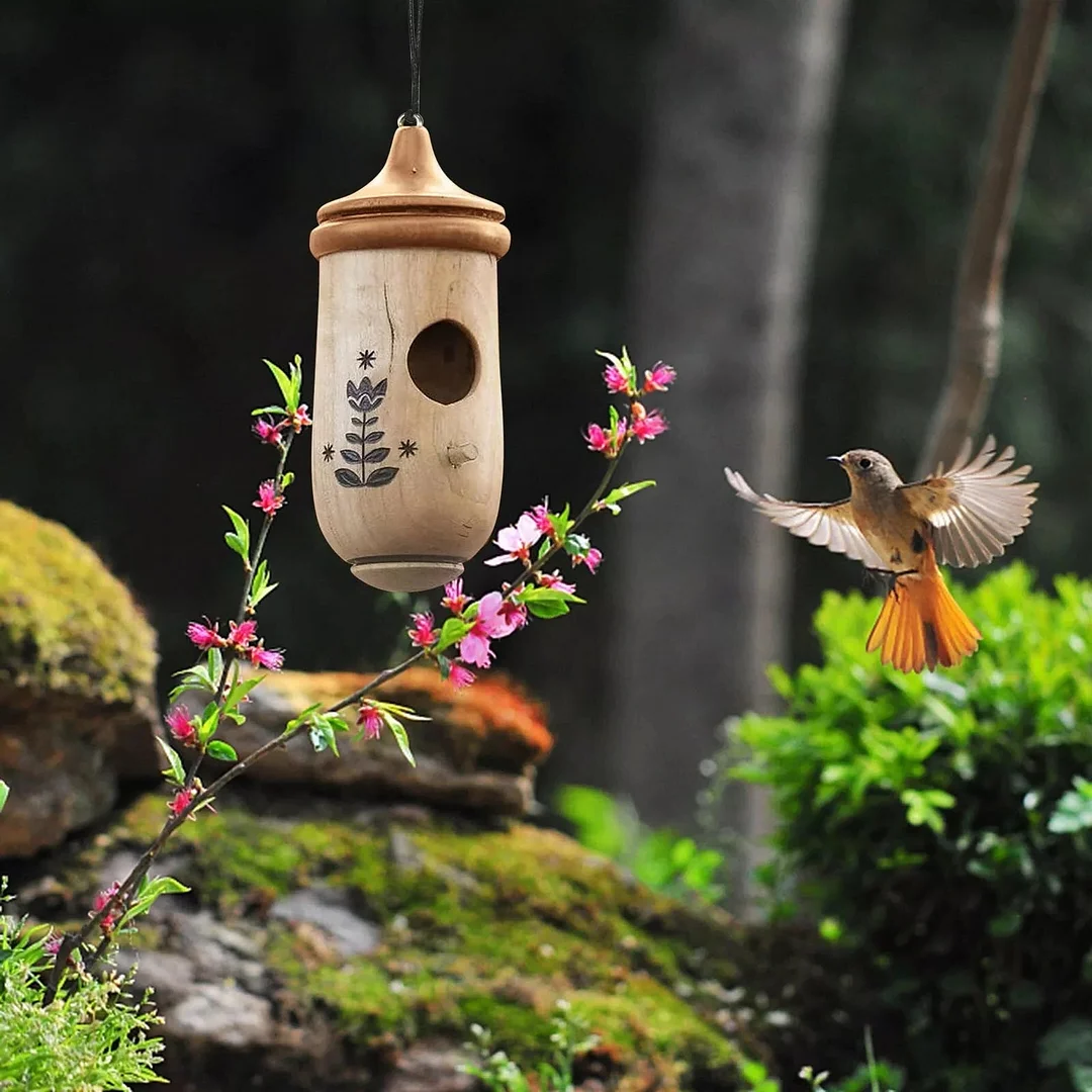 Casette per uccelli da esterno, casetta per colibrì e casetta decorativa sospesa, decorazioni da giardino in resina per il cortile