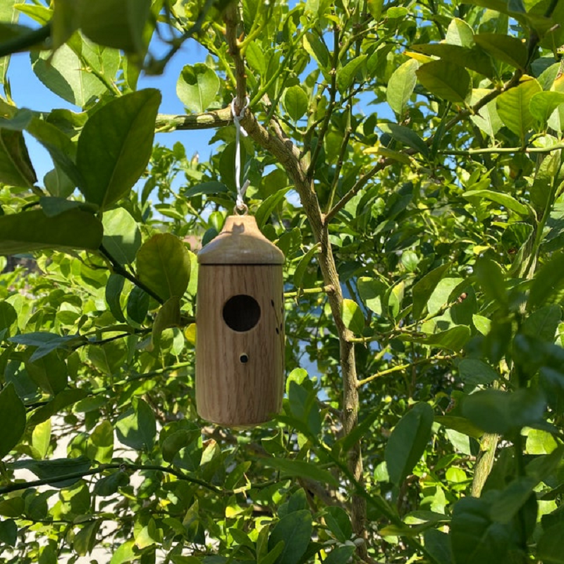 Casette per uccelli da esterno, casetta per colibrì e casetta decorativa sospesa, decorazioni da giardino in resina per il cortile