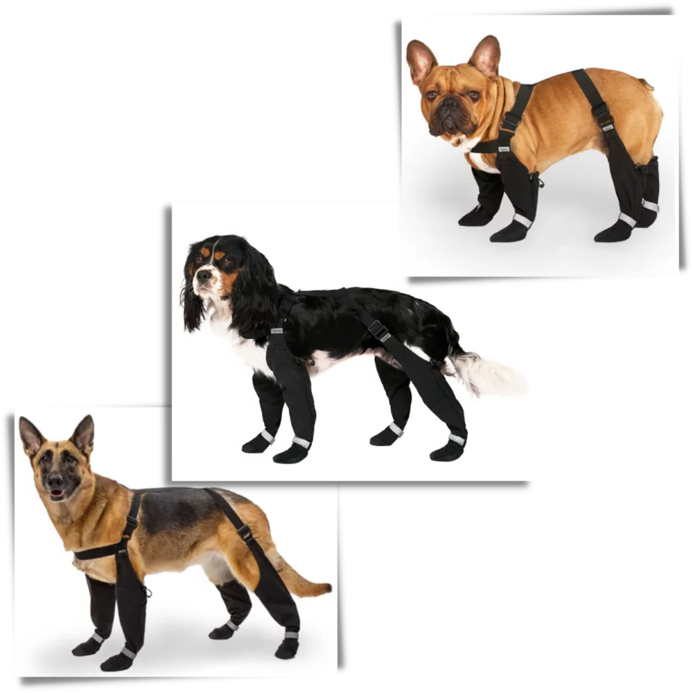 Scarpe per Cani, Stivaletti Impermeabili con Bretelle, Antiscivolo per Inverno e Neve, Copertura Totale della Zampa per Tutte le Razze