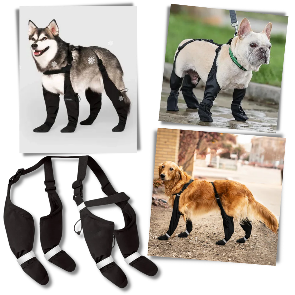 Scarpe per Cani, Stivaletti Impermeabili con Bretelle, Antiscivolo per Inverno e Neve, Copertura Totale della Zampa per Tutte le Razze