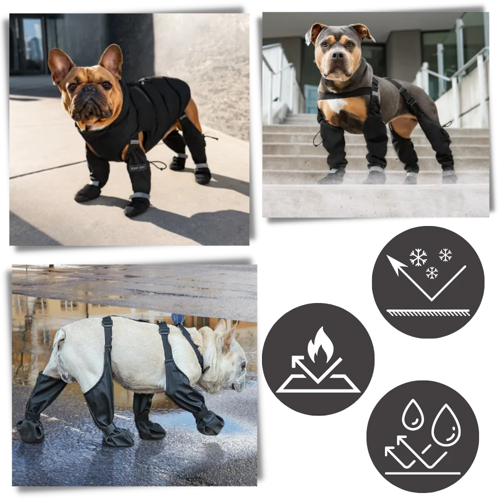 Scarpe per Cani, Stivaletti Impermeabili con Bretelle, Antiscivolo per Inverno e Neve, Copertura Totale della Zampa per Tutte le Razze