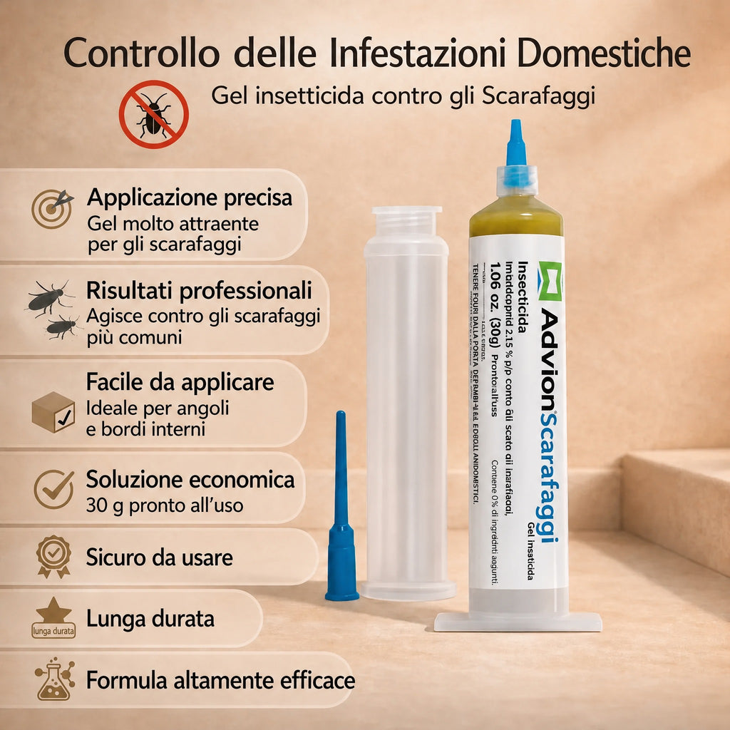 it_p33_g03