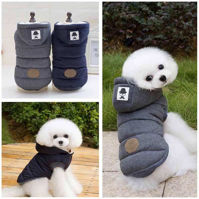 Simpatico cappotto invernale per cani e gatti