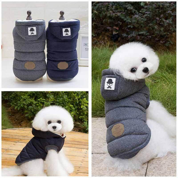 Simpatico cappotto invernale per cani e gatti
